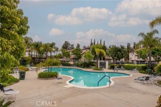 Condominium, 33520 Willow Haven ln, Murrieta, CA 92563 - 49