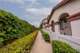 Condominium, 33520 Willow Haven ln, Murrieta, CA 92563 - 9