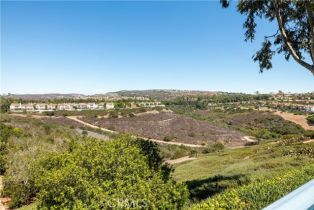 Condominium, 4 Chandon, Newport Coast, CA 92657 - 23