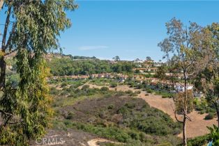 Condominium, 4 Chandon, Newport Coast, CA 92657 - 24