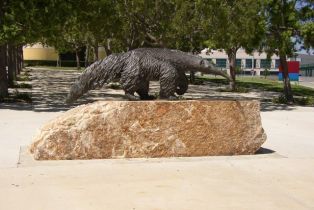 Condominium, 42 Cipresso, Irvine, CA 92618 - 62