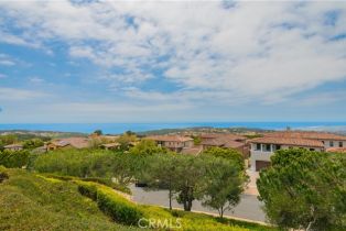 Single Family Residence, 2 Via Avoria, Newport Coast, CA 92657 - 59