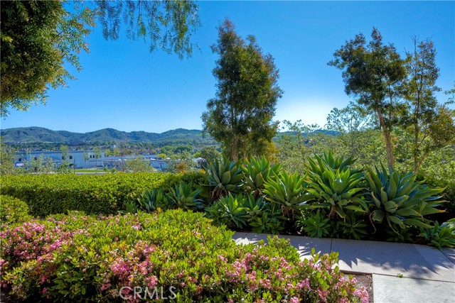 Condominium, 66 Glenalmond ln, Ladera Ranch, CA 92694 - 1