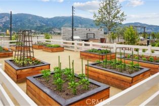 Single Family Residence, 460 Checkerbloom ln, Santa Paula, CA 93060 - 32