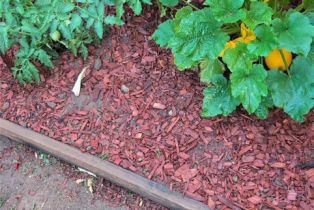 Single Family Residence, 1387 Dyer way, Corona, CA 92882 - 13