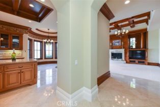 Single Family Residence, 11 Skyridge, Newport Coast, CA 92657 - 24