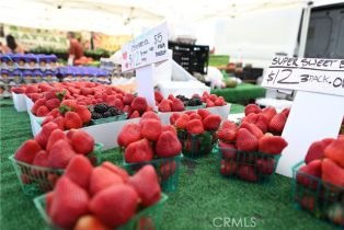 Single Family Residence, 105 Holly Spgs, Irvine, CA 92618 - 57