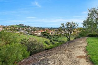 Condominium, 11 New Chardon, Laguna Niguel, CA 92677 - 44