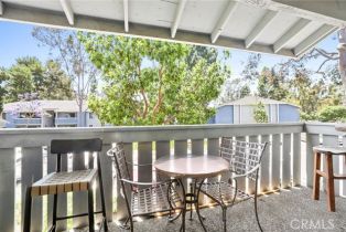 Condominium, 25611 Quail run, Dana Point, CA 92629 - 21