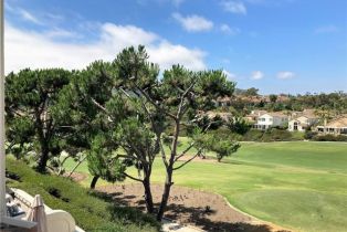 Condominium, 41 Wightman ct, Dana Point, CA 92629 - 15