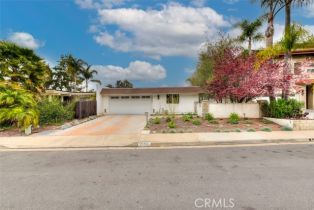 Residential Lease, 29582 Colebrook DR, Laguna Niguel, CA  Laguna Niguel, CA 92677