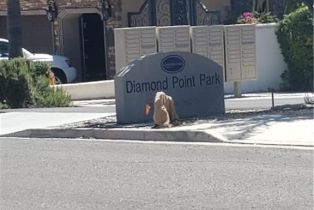 , 22720 Blue Teal, Canyon Lake, CA 92587 - 11