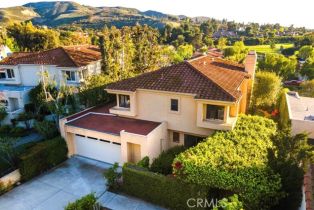 Single Family Residence, 32011 Paseo Amante, San Juan Capistrano, CA 92675 - 41