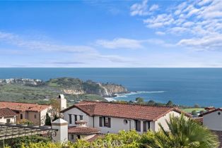 Single Family Residence, 8 Whalers Bluff, Newport Coast, CA 92657 - 41