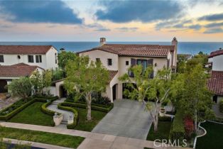 Single Family Residence, 8 Whalers Bluff, Newport Coast, CA 92657 - 43