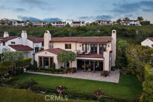 Single Family Residence, 8 Whalers Bluff, Newport Coast, CA 92657 - 45