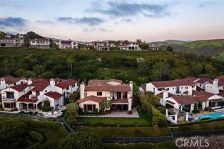 Single Family Residence, 8 Whalers Bluff, Newport Coast, CA 92657 - 47
