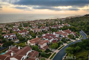 Single Family Residence, 8 Whalers Bluff, Newport Coast, CA 92657 - 48