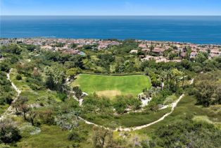 Single Family Residence, 8 Whalers Bluff, Newport Coast, CA 92657 - 54