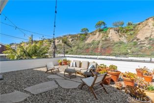 Single Family Residence, 35581 Beach rd, Dana Point, CA 92624 - 29