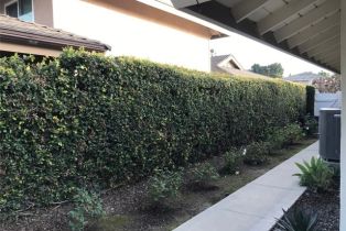 Single Family Residence, 17661 Orange Tree ln, Tustin, CA 92780 - 22