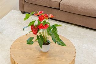 Single Family Residence, 161 Somera, Irvine, CA 92602 - 53