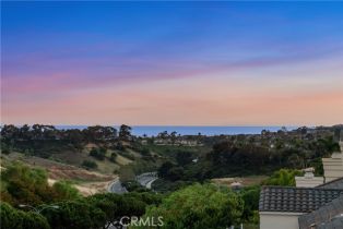 Condominium, 123 Costa Brava, Laguna Niguel, CA 92677 - 39