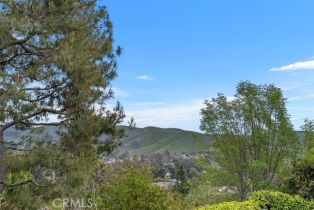 Single Family Residence, 31172 Harmony Hall ct, San Juan Capistrano, CA 92675 - 51