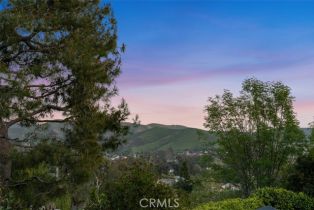 Single Family Residence, 31172 Harmony Hall ct, San Juan Capistrano, CA 92675 - 7