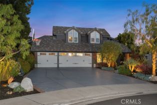 Single Family Residence, 31172 Harmony Hall CT, CA  , CA 92675