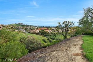 Condominium, 23 Pemberton pl, Laguna Niguel, CA 92677 - 31