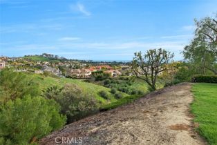 Single Family Residence, 1 Taywood ct, Laguna Niguel, CA 92677 - 53