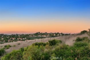 Residential Lease, 1 Taywood CT, Laguna Niguel, CA  Laguna Niguel, CA 92677