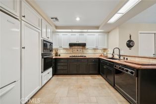 Condominium, 33046 Ocean Ridge, Dana Point, CA 92629 - 10