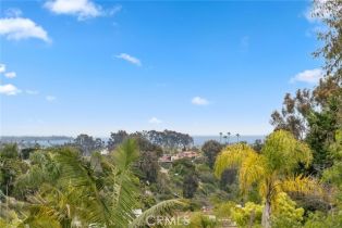 Condominium, 33046 Ocean Ridge, Dana Point, CA 92629 - 8