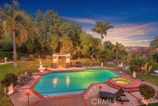 Single Family Residence, 25641 Rapid Falls rd, Laguna Hills, CA 92653 - 14