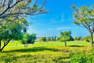 Single Family Residence, 34036 Galleron st, Temecula, CA 92592 - 69