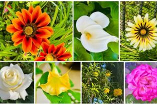 Single Family Residence, 34036 Galleron st, Temecula, CA 92592 - 75