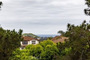 Single Family Residence, 306 Camino Mira Monte, San Clemente, CA 92673 - 43