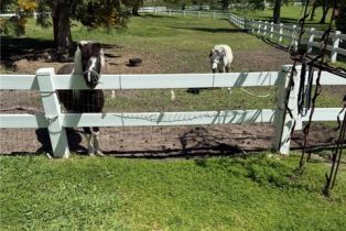 Condominium, 31531 Via Conejo, Coto De Caza, CA 92679 - 60