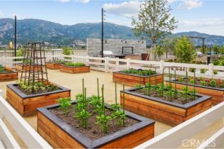 Single Family Residence, 486 Checkerbloom ln, Santa Paula, CA 93060 - 27