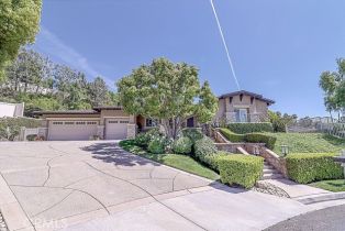 Single Family Residence, 7630 Spotted Pony ln, Anaheim Hills, CA 92808 - 5
