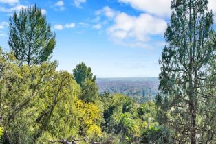 Single Family Residence, 10841 Hideaway dr, North Tustin, CA 92705 - 17