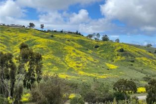 Single Family Residence, 60 Pienza, Laguna Niguel, CA 92677 - 56