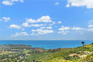 Single Family Residence, 31222 Flying Cloud dr, Laguna Niguel, CA 92677 - 38