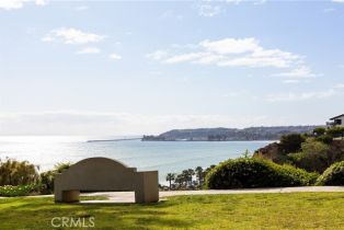 Residential Income, 26872 Vista Del Mar, Dana Point, CA 92624 - 39