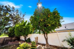 Single Family Residence, 31341 Via Sonora, San Juan Capistrano, CA 92675 - 38