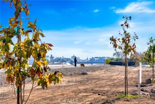 Single Family Residence, 31341 Via Sonora, San Juan Capistrano, CA 92675 - 61