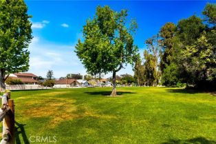 Single Family Residence, 31341 Via Sonora, San Juan Capistrano, CA 92675 - 63