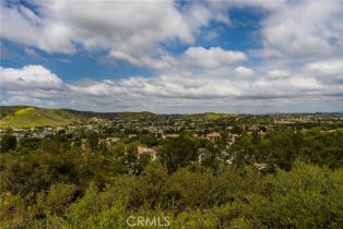 Single Family Residence, 21 Alexa ln, Ladera Ranch, CA 92694 - 32